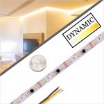 5m WS2811 CCT Digital Bicolor LED Strip Light - Horse Racing Color-Changing LED Tape Light - 12V - IP20